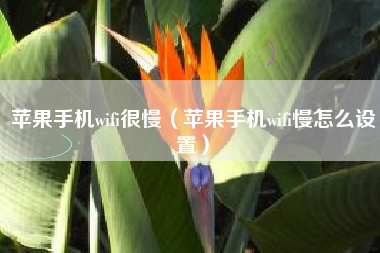 苹果手机wifi很慢（苹果手机wifi慢怎么设置）