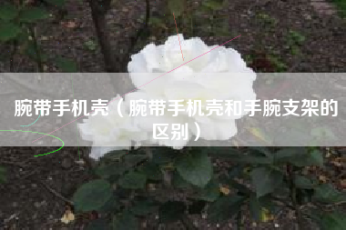 腕带手机壳（腕带手机壳和手腕支架的区别）