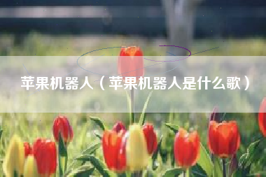 苹果机器人（苹果机器人是什么歌）