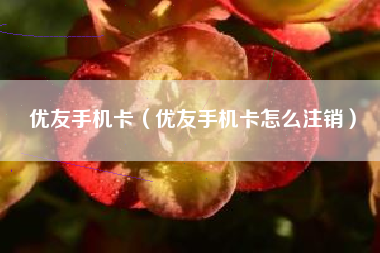 优友手机卡（优友手机卡怎么注销）