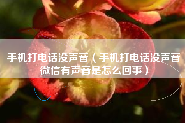 手机打电话没声音（手机打电话没声音微信有声音是怎么回事）