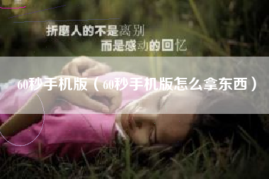 60秒手机版（60秒手机版怎么拿东西）