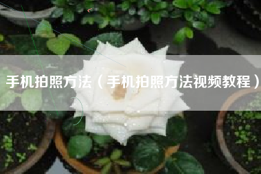 手机拍照方法（手机拍照方法视频教程）