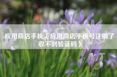 应用商店手机（应用商店手机号注销了收不到验证码）