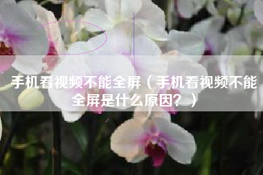 手机看视频不能全屏（手机看视频不能全屏是什么原因？）