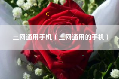 三网通用手机（三网通用的手机）