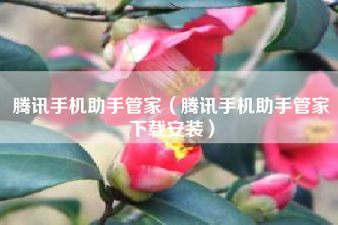 腾讯手机助手管家（腾讯手机助手管家下载安装）