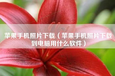 苹果手机照片下载（苹果手机照片下载到电脑用什么软件）