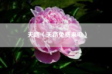 天路（天路免费来电）