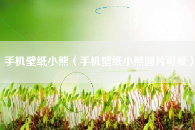 手机壁纸小熊（手机壁纸小熊图片可爱）
