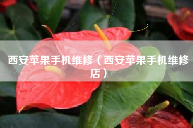 西安苹果手机维修（西安苹果手机维修店）