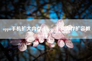 oppo手机扩大内存（oppo手机内存扩容教程）