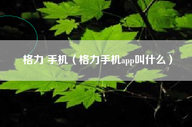 格力 手机（格力手机app叫什么）