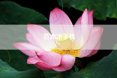 范冰冰手机