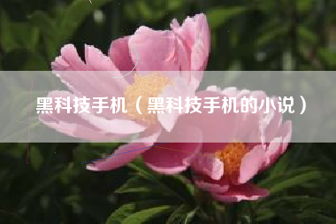 黑科技手机（黑科技手机的小说）