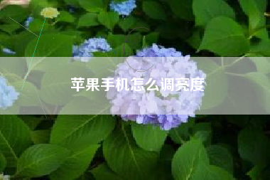 苹果手机怎么调亮度