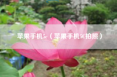苹果手机5c（苹果手机5C拍照）