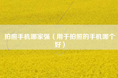 拍照手机哪家强（用于拍照的手机哪个好）