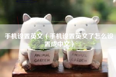 手机设置英文（手机设置英文了怎么设置成中文）