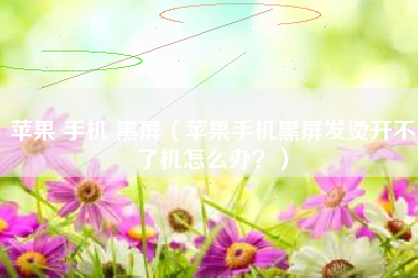 苹果 手机 黑屏（苹果手机黑屏发烫开不了机怎么办？）