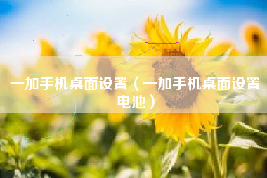 一加手机桌面设置（一加手机桌面设置电池）
