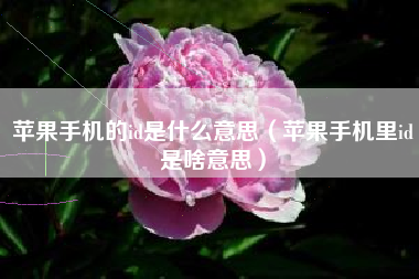 苹果手机的id是什么意思（苹果手机里id是啥意思）