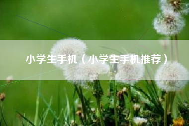 小学生手机（小学生手机推荐）