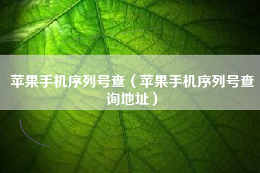 苹果手机序列号查（苹果手机序列号查询地址）