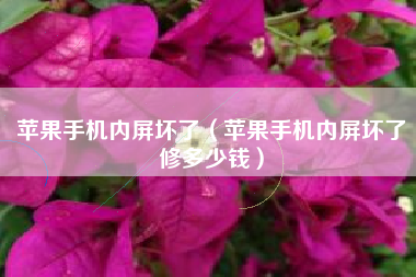 苹果手机内屏坏了（苹果手机内屏坏了修多少钱）