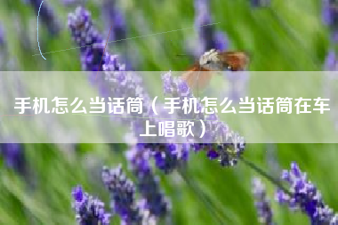 手机怎么当话筒（手机怎么当话筒在车上唱歌）