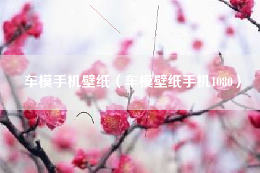车模手机壁纸（车模壁纸手机1080）