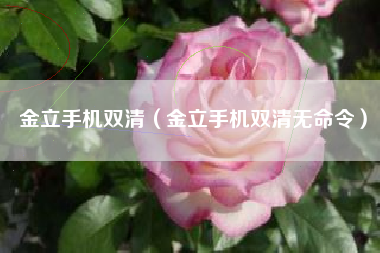 金立手机双清（金立手机双清无命令）