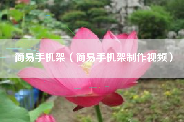 简易手机架（简易手机架制作视频）