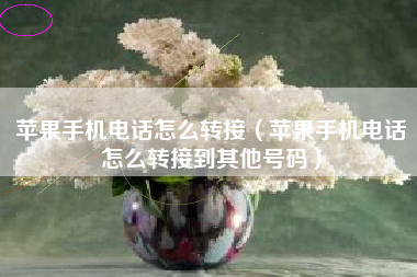 苹果手机电话怎么转接（苹果手机电话怎么转接到其他号码）