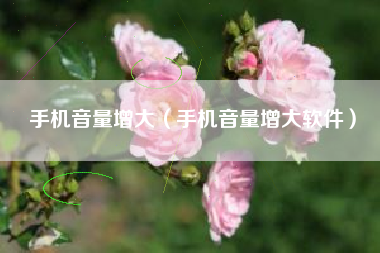 手机音量增大（手机音量增大软件）