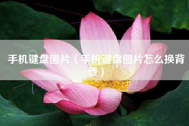 手机键盘图片（手机键盘图片怎么换背景）