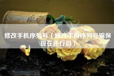 修改手机序列号（修改手机序列号骗保现在还行吗）