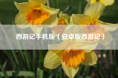 西游记手机版（安卓版西游记）
