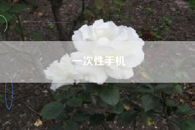 一次性手机