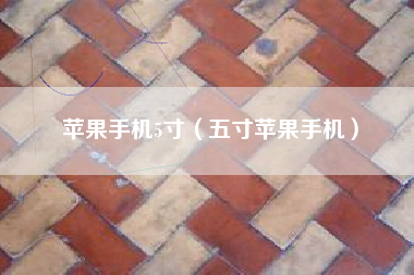 苹果手机5寸（五寸苹果手机）