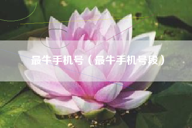 最牛手机号（最牛手机号段）