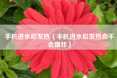 手机进水后发热（手机进水后发热会不会爆炸）
