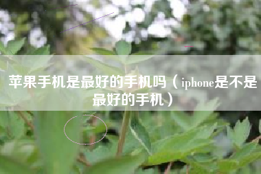 苹果手机是最好的手机吗（iphone是不是最好的手机）