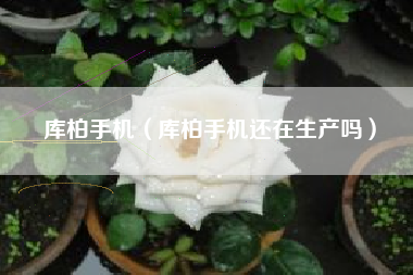 库柏手机（库柏手机还在生产吗）