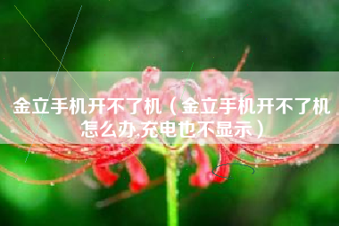 金立手机开不了机（金立手机开不了机怎么办,充电也不显示）