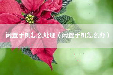 闲置手机怎么处理（闲置手机怎么办）