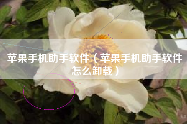苹果手机助手软件（苹果手机助手软件怎么卸载）