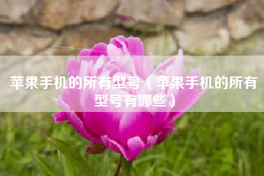 苹果手机的所有型号（苹果手机的所有型号有哪些）