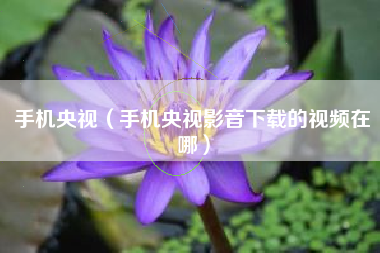 手机央视（手机央视影音下载的视频在哪）