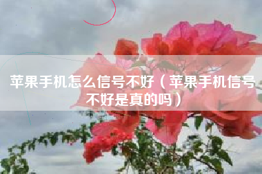 苹果手机怎么信号不好（苹果手机信号不好是真的吗）